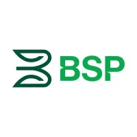 BSP Financial Group Limited