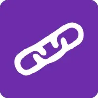 eBelong - AI Talent Platform