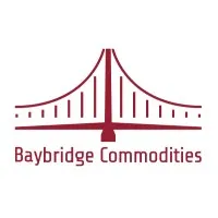 Baybridge Commodities Inc