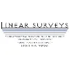 Linear Surveys Linear Surveys