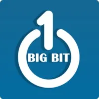 OneBigBit