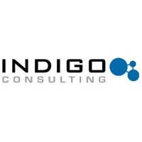 Indigo Consulting US