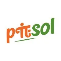 Piesol Private Limited