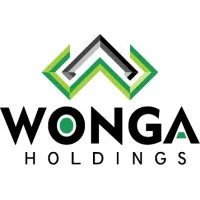 WONGA HOLDINGS (PTY) LTD