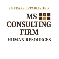 MS Consulting Firm - HR for Small Businesses