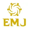 EMJ Consulting Solutions EMJ Consulting Solutions