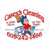 caseys cleaning llc