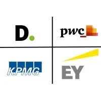 Big4 Consulting