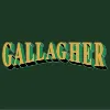 GALLAGHER CONCRETE CONSTRUCTION INC GALLAGHER CONCRETE CONSTRUCTION INC