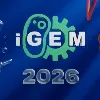 iGEM Competition iGEM Competition