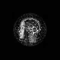 SenseforgeAI