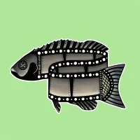 Black Snapper International Film Festival Black Snapper International Film Festival