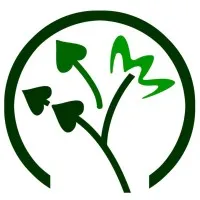 PAMELA ROWE, MA, CCC-SLP, LLC