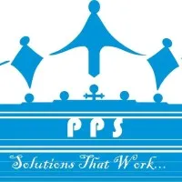 Professional Perfect Solutions