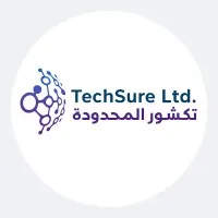 TechSure Limited TechSure Limited
