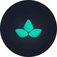 Mintflow Mintflow