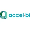accel bi corporation accel bi corporation