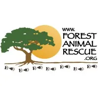 Forest Animal Rescue