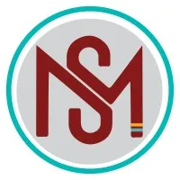 Maroon Strategist, LLC.