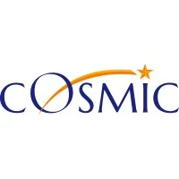 Cosmic Consultancy Services Pte Ltd