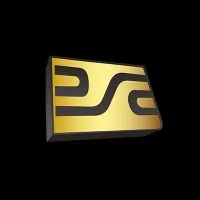 Seguridad y Control S.A. de C.V.