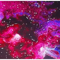 Self Similar Self Similar