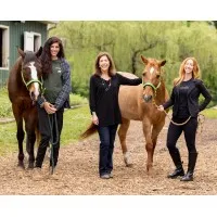 Bay Area Counseling and Consultation, LLC.