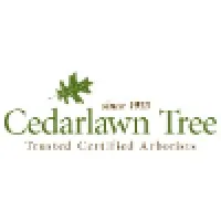 Cedarlawn Tree