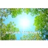 Ryegate Associates