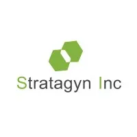 Stratagyn Inc - Partners in People Management 