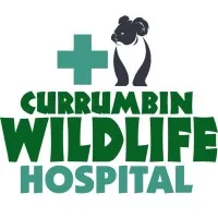 Currumbin Wildlife Hospital 