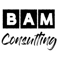 BAM Consulting, Inc.