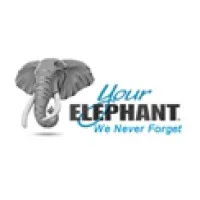 Your Elephant