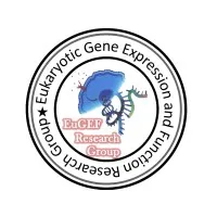 Eukaryotic Gene Expression and Function Research Group