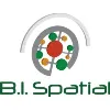 B. I. Spatial B. I. Spatial
