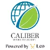 Caliber Service Management