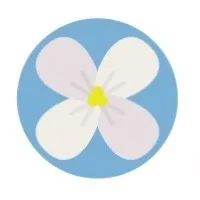 DOGWOOD AUTISM SERVICES, LLC