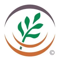 Cause Matters Corp. Cause Matters Corp.