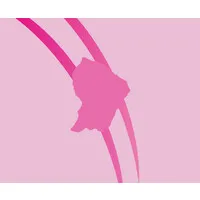 Rainbow Santé Groupe