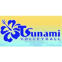 TSUNAMI VOLLEYBALL INC