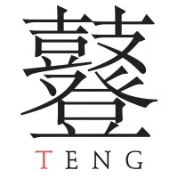The TENG Company