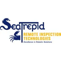 Remote Inspection Technologies LLC