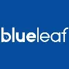 Blueleaf Wealth Blueleaf Wealth