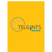 Telgints Telgints