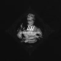 Ashraf wassel law firm