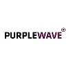 Purple Wave Infocom LTD Purple Wave Infocom LTD