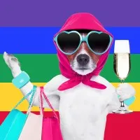 The Dazzle Cleaning Company