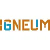 Igneum Igneum