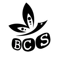 Brikbond consultancy services