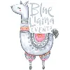 Blue Llama Events Blue Llama Events
